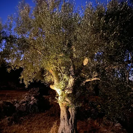 Spitaki Among Olives 빌라 *