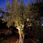 Spitaki Among Olives 빌라 *