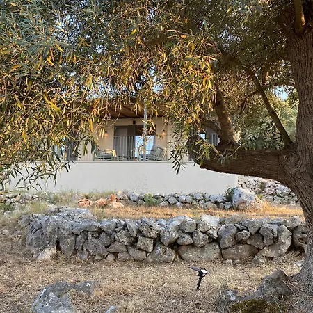 Spitaki Among Olives 别墅