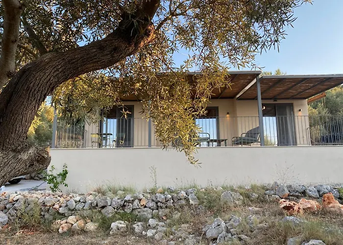 Spitaki Among Olives 别墅