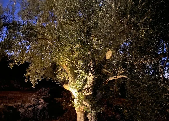 Spitaki Among Olives 别墅 *