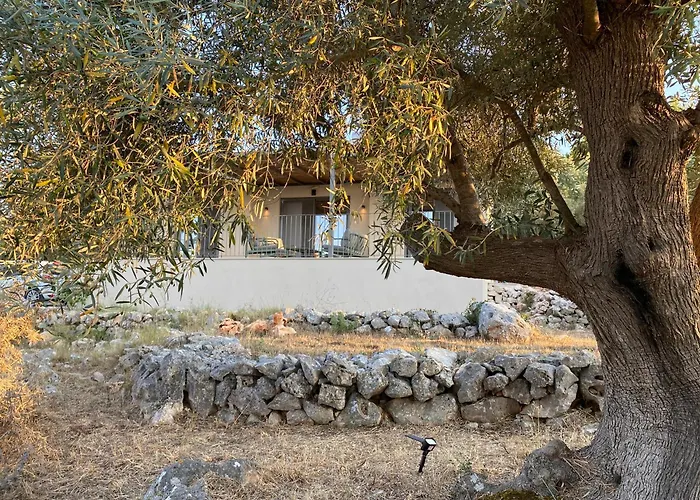 Spitaki Among Olives 别墅